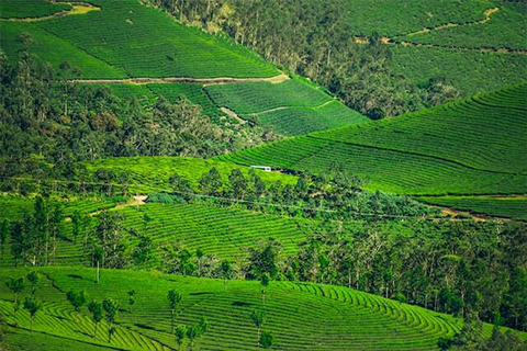 Munnar